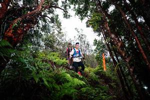 BIB: 
                            <button type="button" onclick="openModal(26203432)" class="btn btn-primary btn-sm float-right btn-popup" data-toggle="modal" data-target=".modal-high-quality">
                        <i class="fas fa-shopping-cart"></i> Add to Cart
                    </button>
                                            <button type="button" onclick="isThisMe(26203432, true)" class="btn btn-success btn-sm float-right btn-popup btn-isme hidden" data-toggle="tooltip" data-placement="bottom" title="นี่คือรูปของคุณใช่ไหม คลิกที่นี่เพื่อเอาเข้าอัลบั้ม">
                        <i class="fas fa-plus"></i> Add to album
                    </button>
                    <button type="button" onclick="isThisMe(26203432, false)" class="btn btn-warning btn-sm float-right btn-popup btn-isnotme hidden">
                        <i class="fas fa-ban"></i> Remove from album
                    </button>